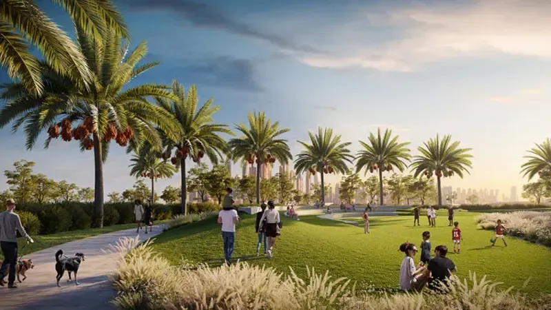 Mangrove at Creek Beach · Concept del progetto